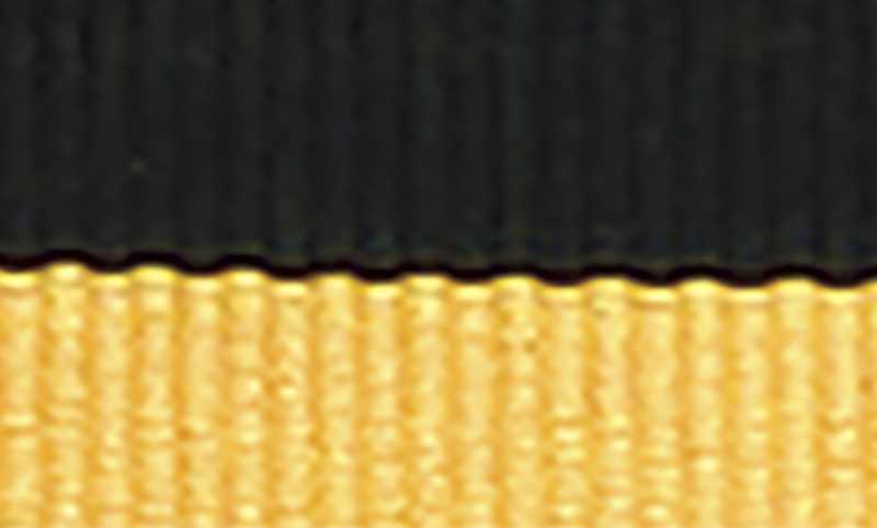 Black / Gold Ribbon