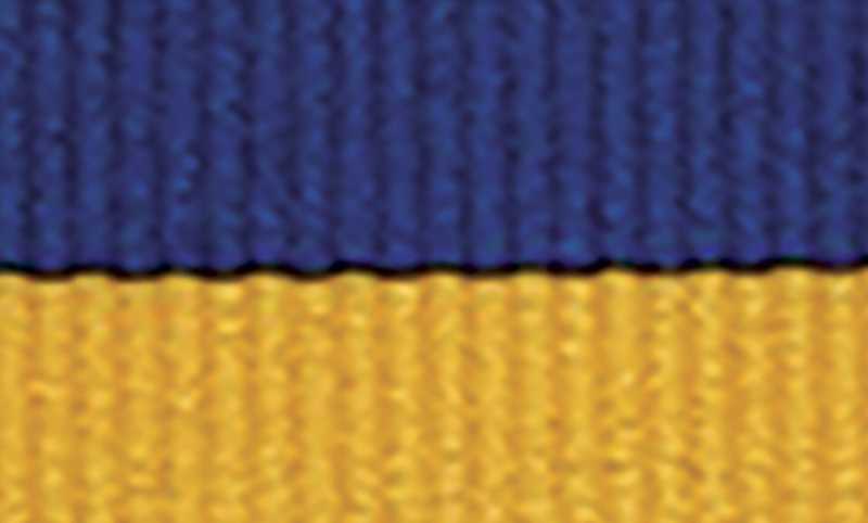 Blue / Gold Ribbon