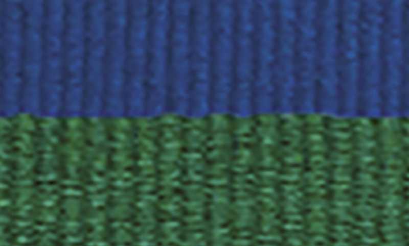 Blue / Green Ribbon