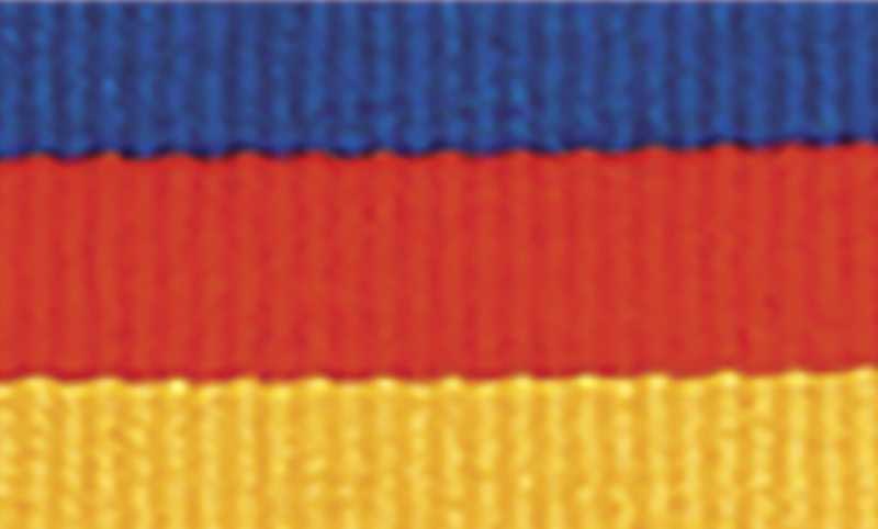 Blue / Red / Gold Ribbon