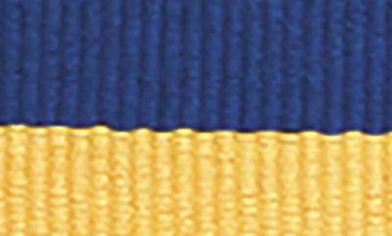 Blue / Yellow Ribbon