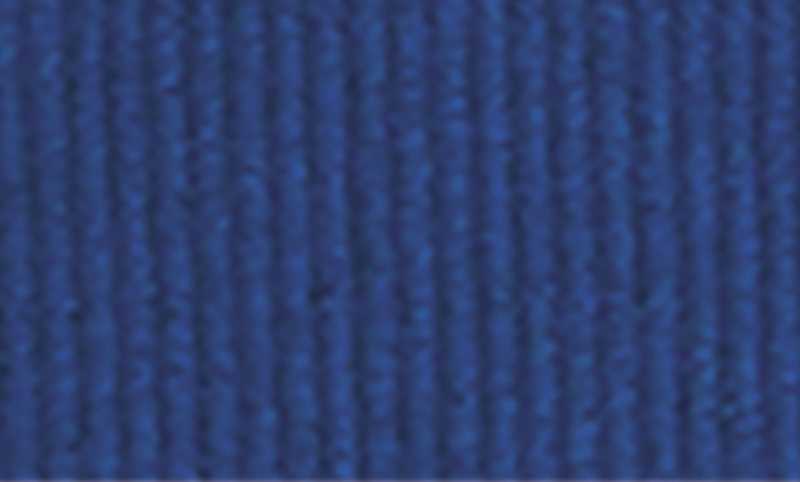 Blue Ribbon