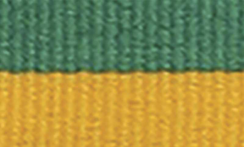 Green / Gold Ribbon