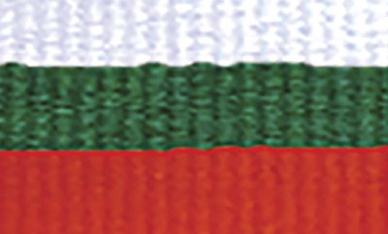 White / Green / Red Ribbon