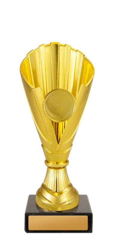Norwood Cup