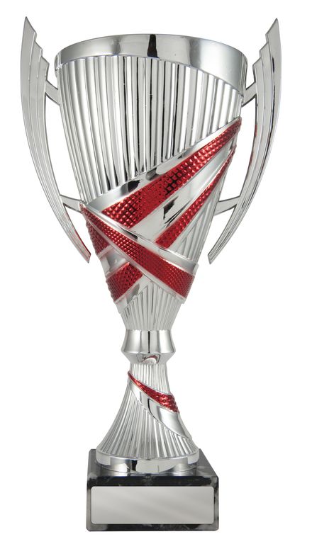 Red/Silver Cup