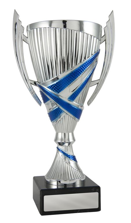 Blue/Silver Cup