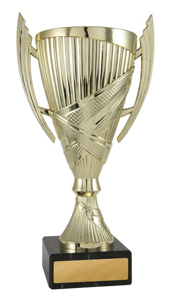Gold Cup with 25mm Centre