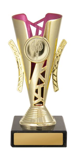 Pink/Gold Cup