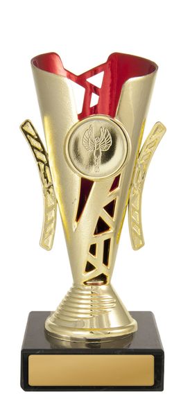 Red/Gold Cup