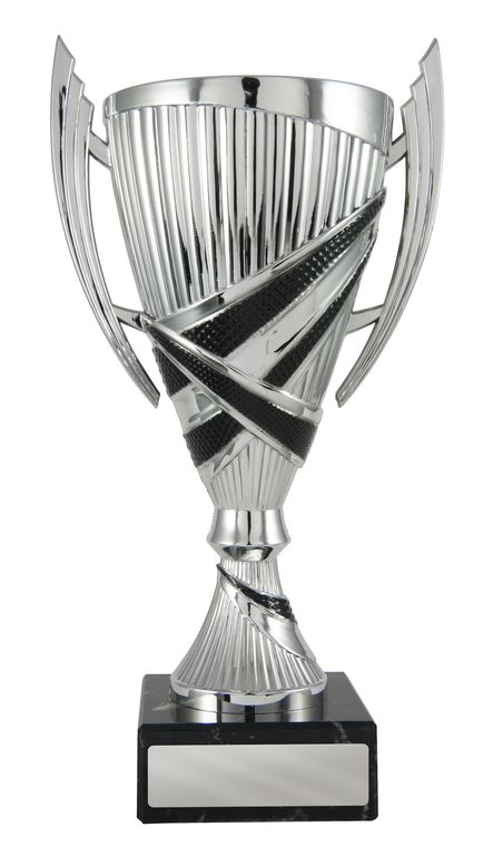 Silver/Black Cup