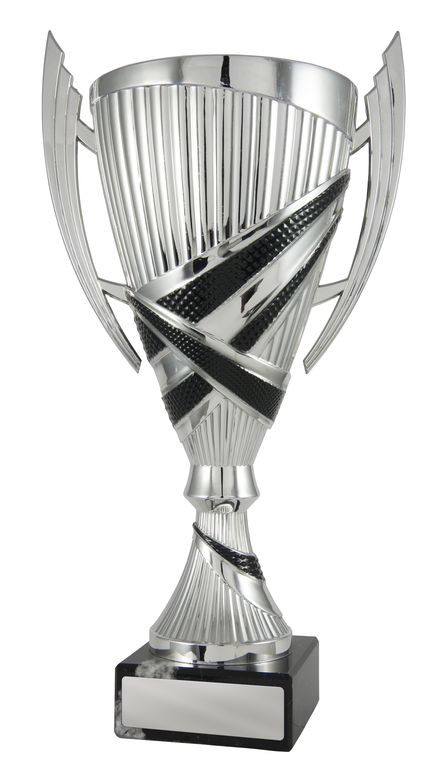 Silver/Black Cup