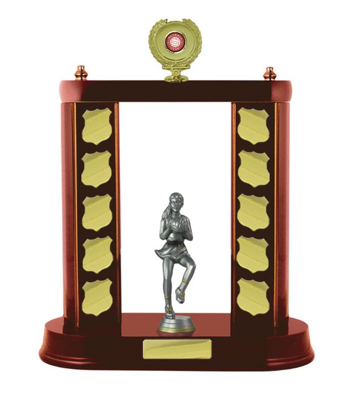 2 Post Netball Perpetual with 25mm Centre
