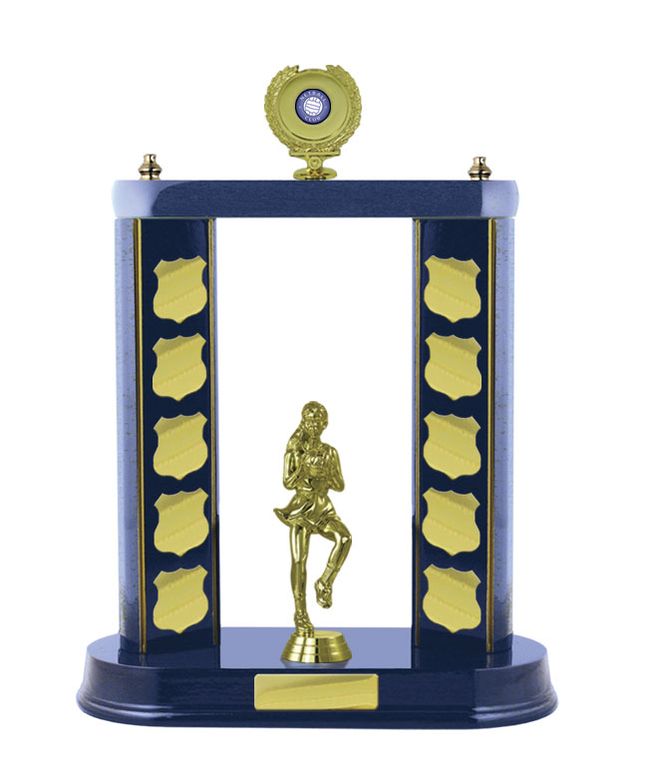 2 Post Netball Perpetual with 25mm Centre