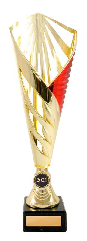 Aerius Cup