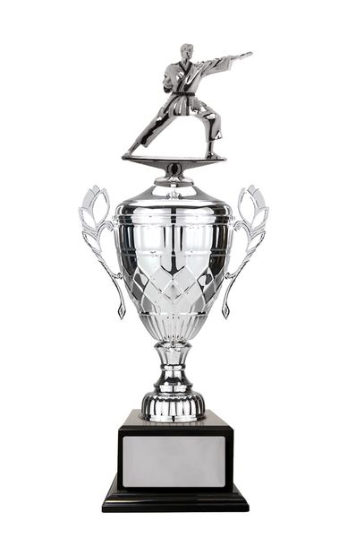 Martial Arts Trophy