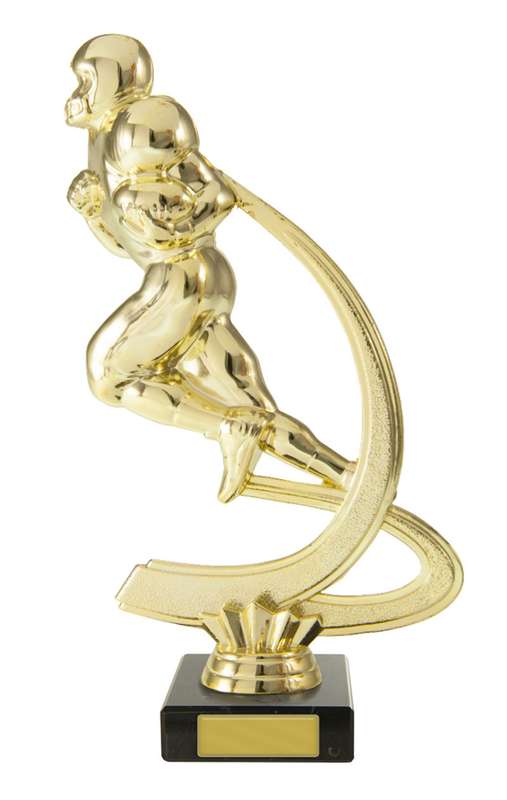 Ice Hockey Trophy