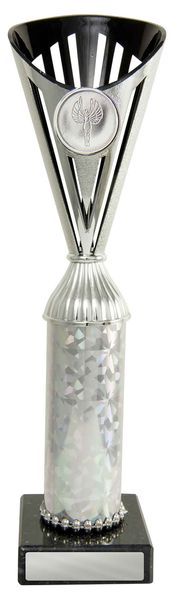 Silver-Black cup