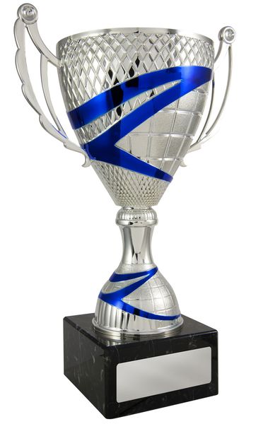 Silver-Blue cup