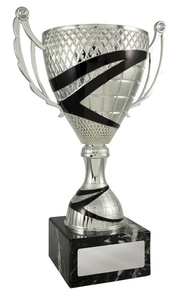Silver-Black cup