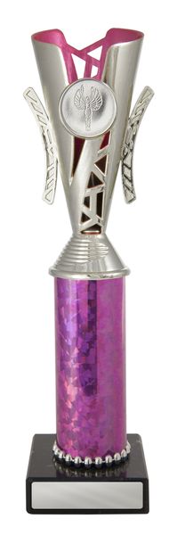 Silver-Pink Cup
