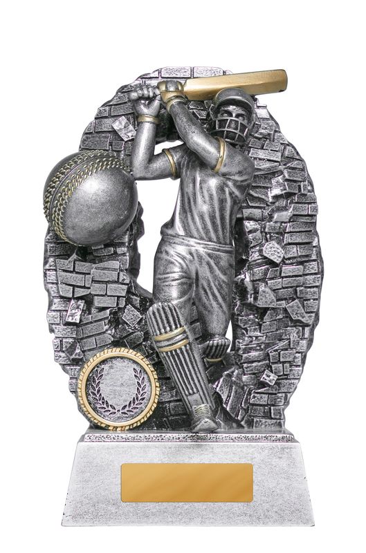 Batter Male Cricket Trophy 110mm