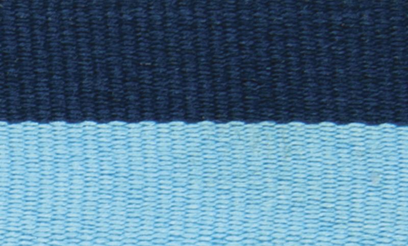Blue Light Blue Ribbon