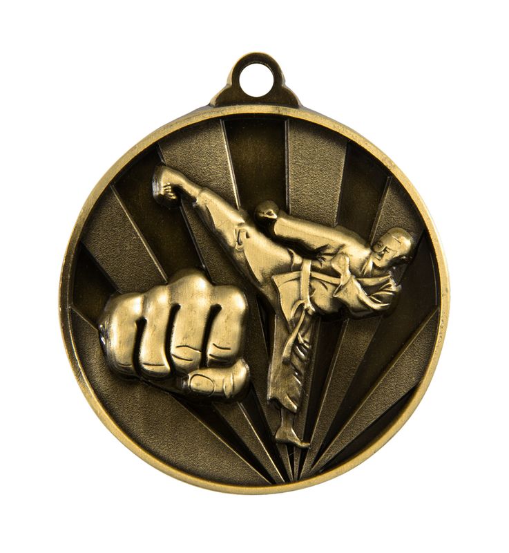 Martial Arts Bronze Medal 50mm