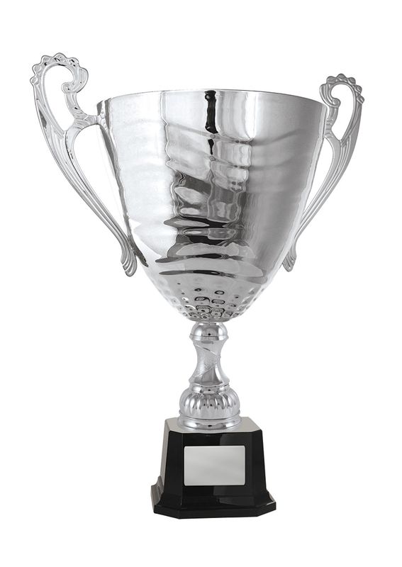 Silver Metal Cup 277mm