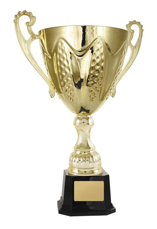 Gold Metal Cup 277mm