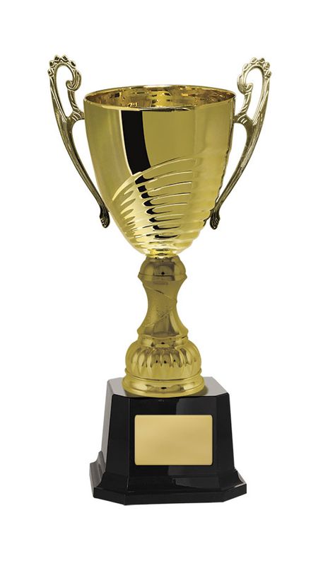 Gold Metal Cup 304mm