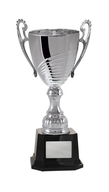 Silver Metal Cup 277mm