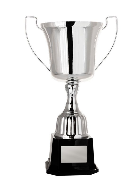 Silver Metal Cup 291mm