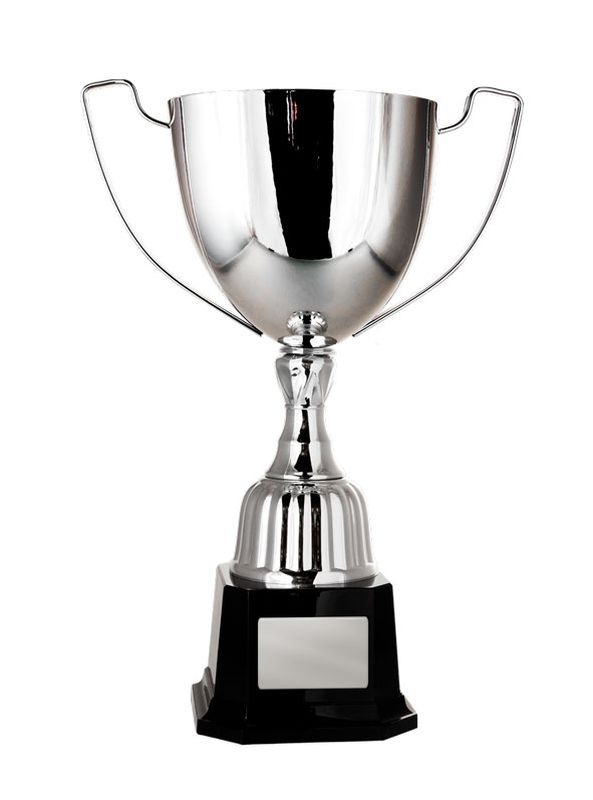 Silver Metal Cup 291mm