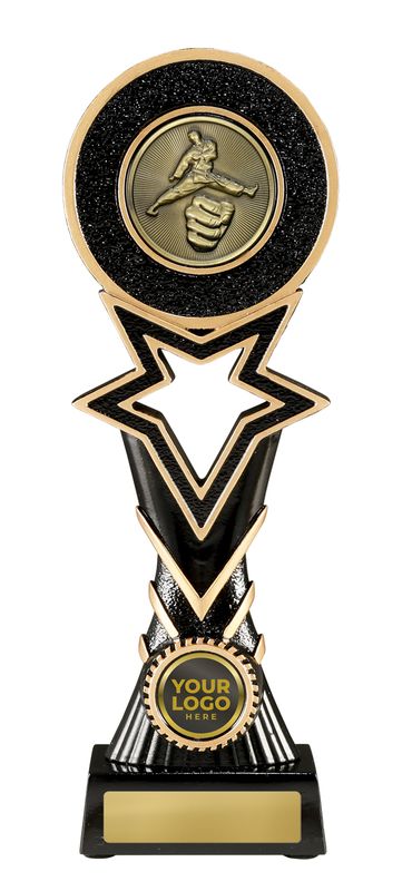 Martial Arts Trophy 295mm