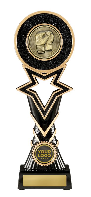 Boxing Trophy 295mm