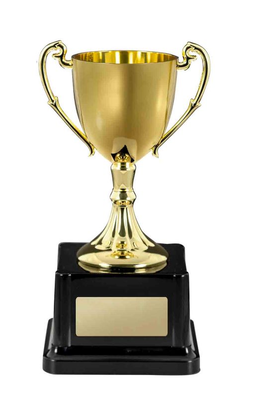 Gold Cast Cup Metal Cups Award 150mm