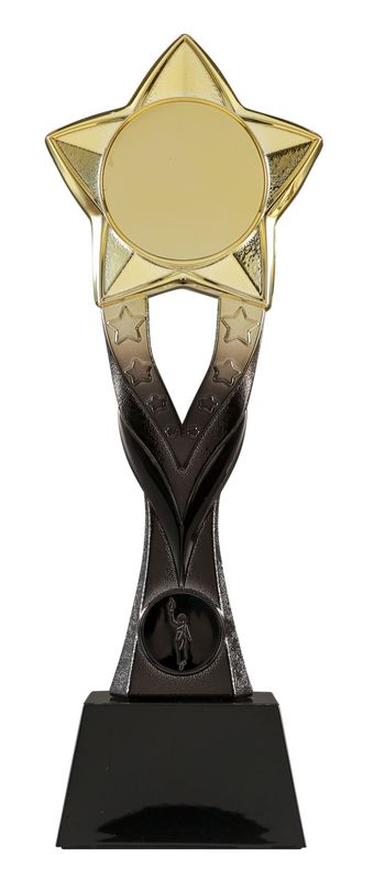 All Sports Trophy 240mm