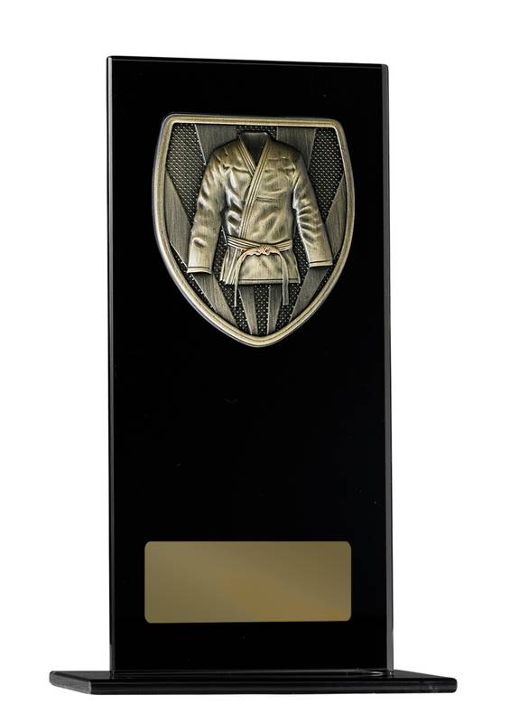 Martial Arts Glass Trophy 160mm