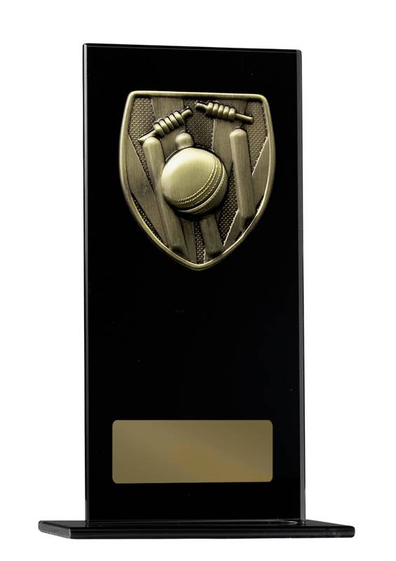 Cricket Glass Trophy 160mm