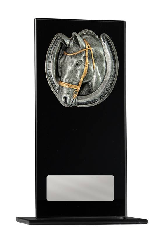 Swimming Glass Trophy 160mm