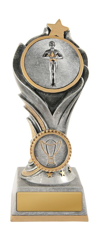 Achievement Schools Trophy 175mm