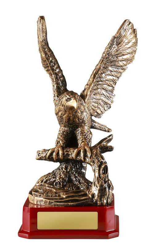 Eagle Achievement Trophy 250mm