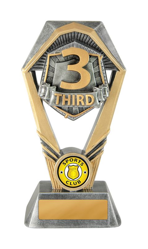 2nd Place Achievement Trophy 210mm