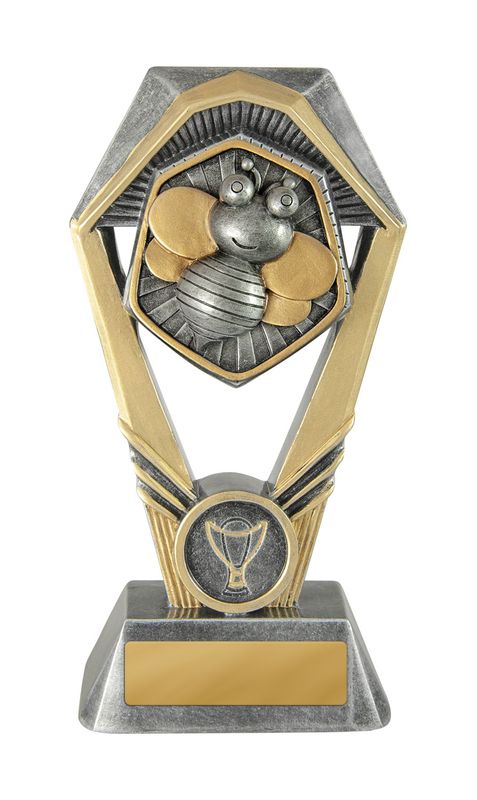 Knowledge Schools Trophy 210mm