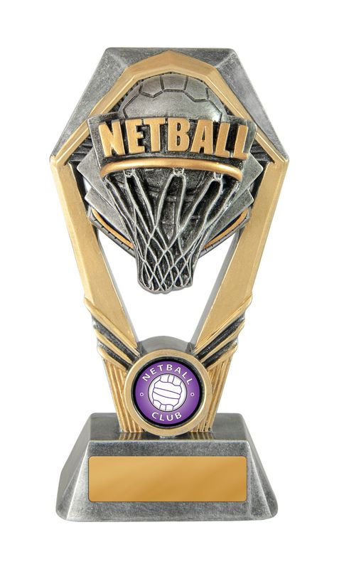 Netball Trophy 210mm