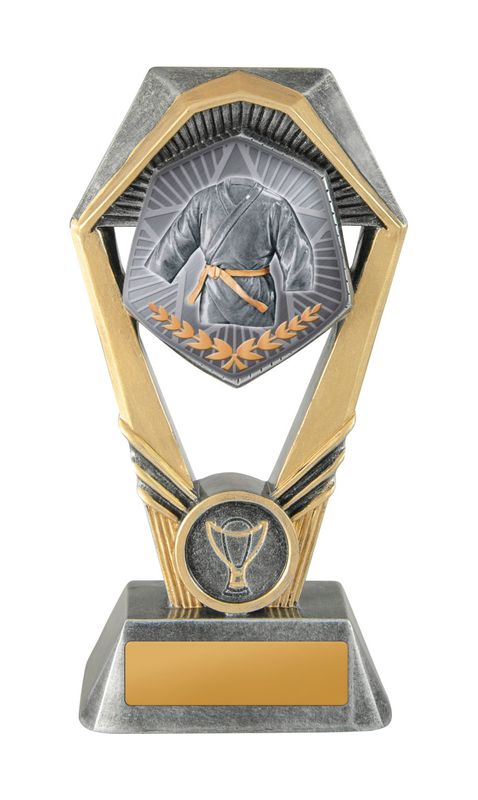 Martial Arts Trophy 210mm
