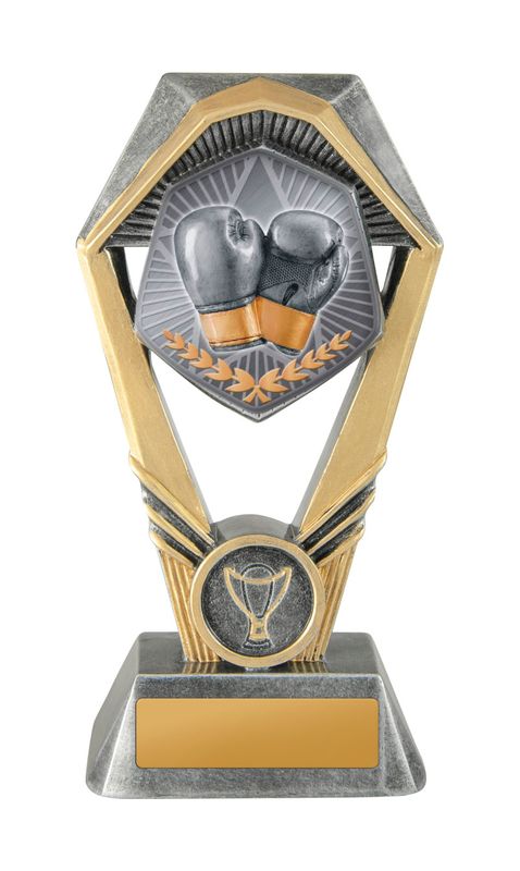 Boxing Trophy 170mm