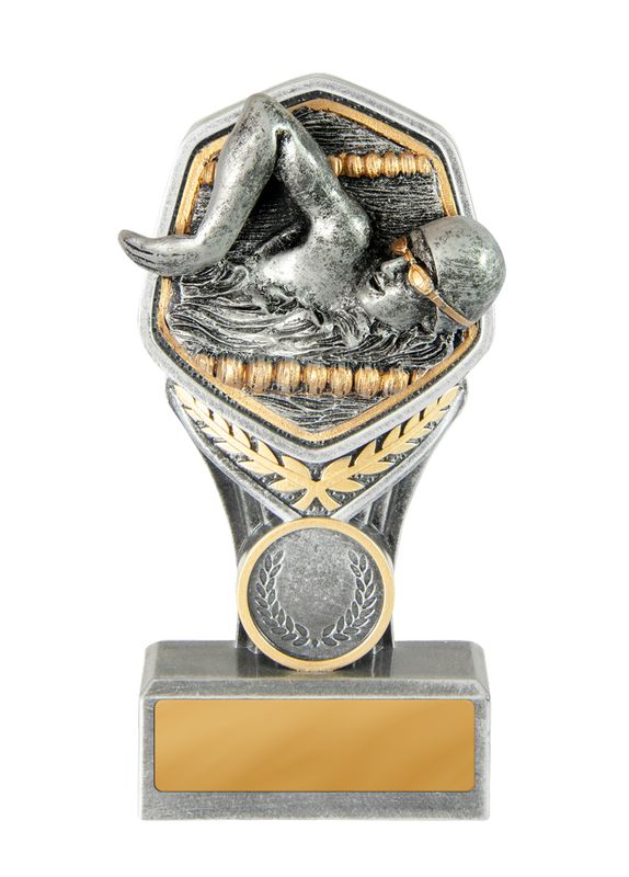 Swimming Male Trophy 210mm