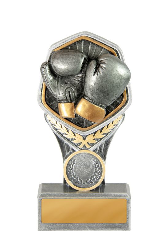 Boxing Trophy 210mm